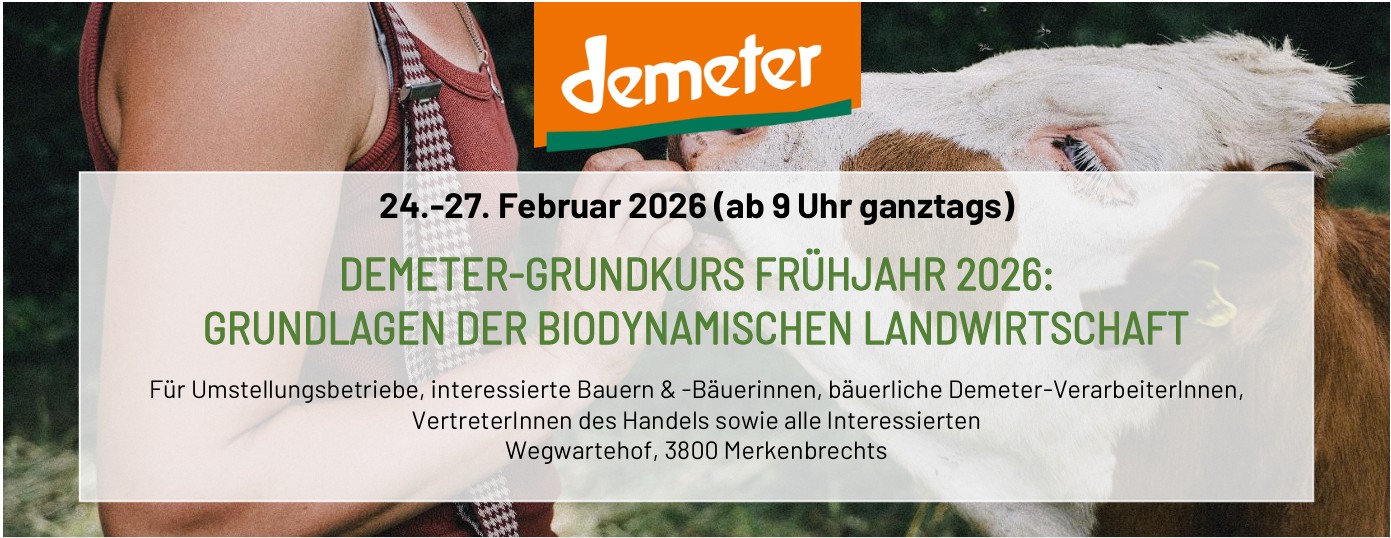 20260224-27_Grundkurs_Banner
