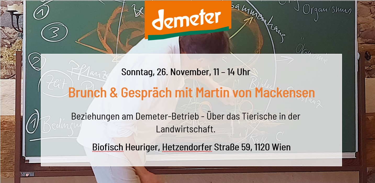 Mackensen_Beitragsbild